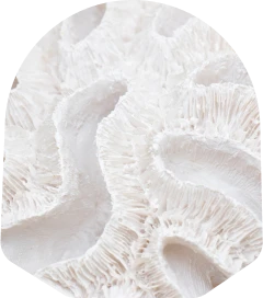 VERISOL® Kollagen